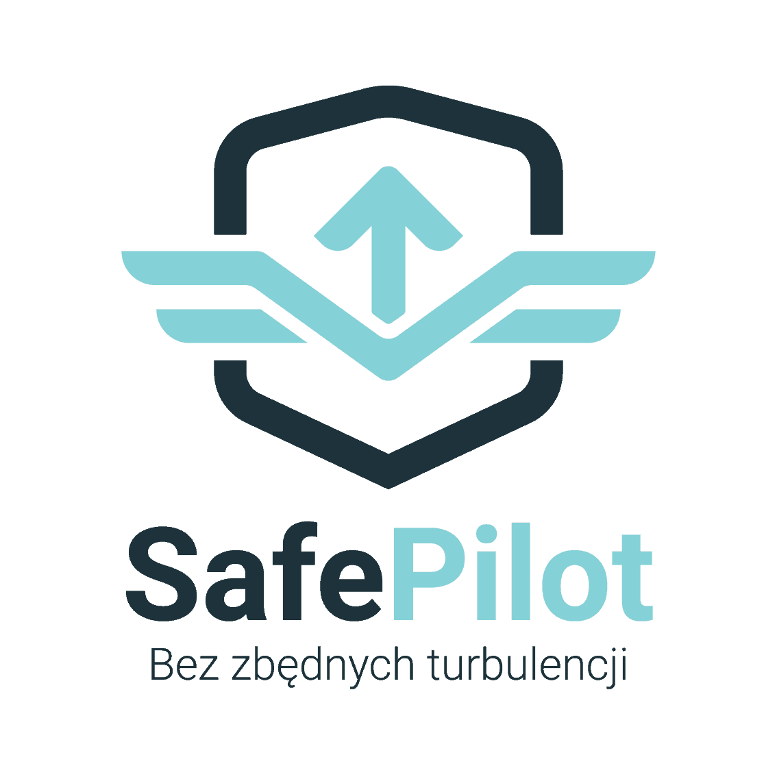 SafePilot – BHP i PPOŻ Kraków-Z nami bądź bez zbędnych trubulencji!