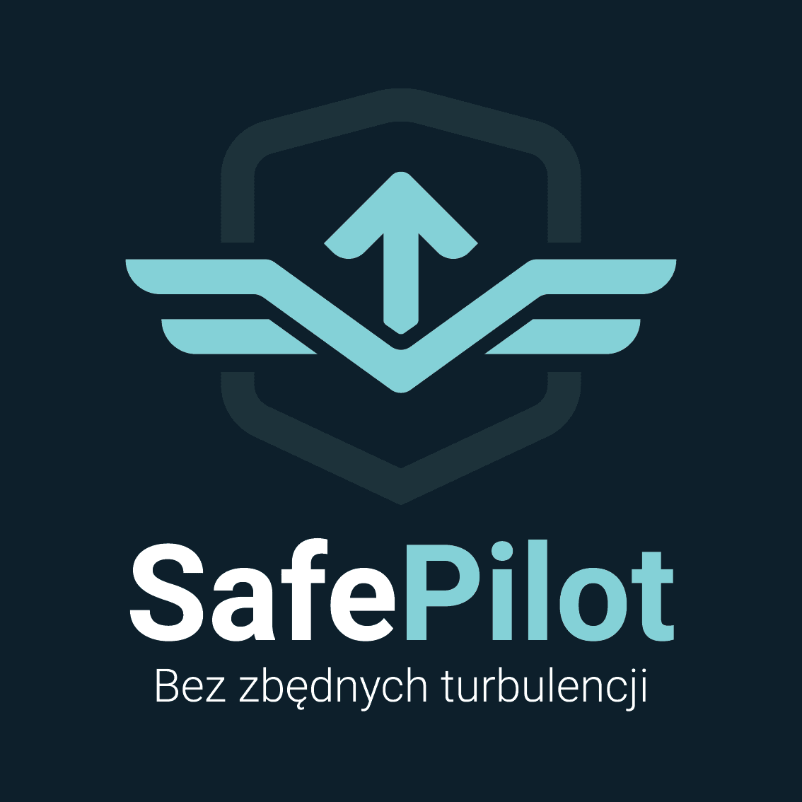 SafePilot – BHP i PPOŻ Kraków-Z nami bądź bez zbędnych trubulencji!